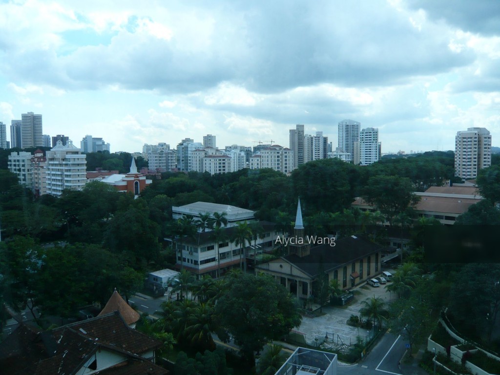 Residences @ Evelyn (D11), Condominium #125233862